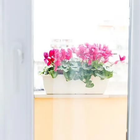 Isola Blu מלון דירות